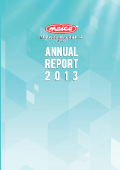 Annual Report 2013